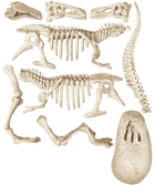 Набір для наукових експериментів Clementoni Science & Play Archaeogaming T-Rex & Triceratops (8005125193455) - зображення 3