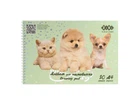 Альбом для малювання ZiBi 20арк. FRIENDS, А4, 120г/м2 на пружині, м'ятний, KIDS Line