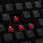 Клавіатура дротова Ducky One 2 Backlit PBT Cherry MX Red Black (DKON1808S-RDEPDAZW1) - зображення 9