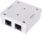 Gniazdo natynkowe Netrack 2 x RJ-45 Cat 5e UTP White (5907418852571)