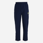 Спортивні штани чоловічі Fila FAM0361-50001 2XL Сині (4064556389046) - зображення 1