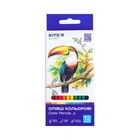 Набір кольорових олівців Kite Classic 12 шт тригранні (K-053)