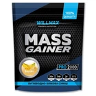 Гейнер Willmax Mass Gainer