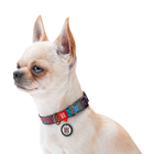 Obroża dla psa nylonowa WAUDOG Nylon z paszportem QR wzór "Summer" plastik fastex szer. 20 mm dł. 28-40 cm (4823089312279) - obraz 3