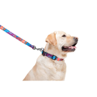 Obroża dla psa nylonowa WAUDOG Nylon z paszportem QR wzór "Summer" plastik fastex szer. 20 mm dł. 28-40 cm (4823089312279) - obraz 5