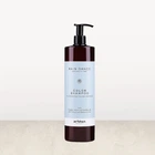 Шампунь для окрашенных волос Artego Rain Dance Color Shampoo 1000 мл