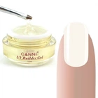 Конструюючий гель Canni Uv Builder gel 313 - Clear (15 мл) (681481-947876-2)