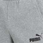 Spodnie dresowe męskie Puma Ess Slim Pants Tr 586749-03 2XS Ciemnozare (4063697288942) - obraz 6