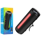 Портативна колонка BOROFONE BR31 Black
