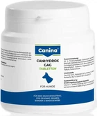 Вітамінний комплекс Canina Canhydrox GAG для собак при проблемах з суглобами та м'язами 100 г 60 таблеток (4027565123490)