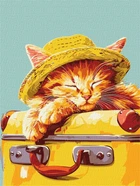 Картина по номерам - Спящий котенок ©art_selena_ua 30x40 KHO6612 Идейка