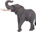 Фігурка Mojo Wildlife African Bull Elephant 17.6 см (5031923810051) - зображення 6