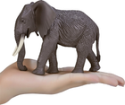 Figurka Mojo Wildlife African Elephant 13.5 cm (5031923871892) - obraz 2