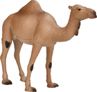 Figurka Mojo Wildlife Arabian Camel 12 cm (5031923871137) - obraz 2