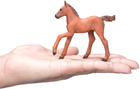 Figurka Mojo Farm Life Arabian Foal Chestnut 8 cm (5031923810198) - obraz 6