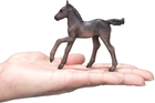 Figurka Mojo Farm Life Arabian Foal Black 8 cm (5031923810150) - obraz 6