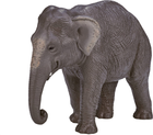 Figurka Mojo Wildlife Asian Elephant 9 cm (5031923872660) - obraz 1