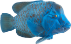 Фігурка Mojo Sealife Blue Groper 7 см (5031923873568) - зображення 1