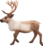Figurka Mojo Woodland Reindeer 13 cm (5031923871861) - obraz 2