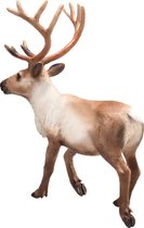 Figurka Mojo Woodland Reindeer 13 cm (5031923871861) - obraz 5