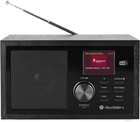 Radio GoGEN DAB 620 BTCB Czarny (GOG-DAB620BTCB)