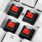 Клавіатура дротова Sharkoon Skiller SGK3 Kailh Red USB White (4044951031221) - зображення 3