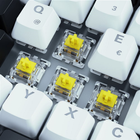 Клавіатура дротова Sharkoon Skiller SGK50 S3 Gateron Yellow USB White (4044951039661) - зображення 3