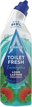 Гель для чистки и дезинфекции унитазов Astonish Эвкалипт 750 мл (5060060213609)
