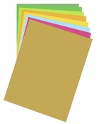 Бумага для дизайна Folia Fotokarton В2 50*70 см. 300 г/м2 №66 Яркое Золото (1686801066)