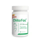 Кормова добавка Dolfos ChitoFos для котів та собак для нормалізації функції нирок 60 т 189-60
