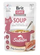 Вологий корм для кішок Brit Care Soup Суп з лососем 75 г