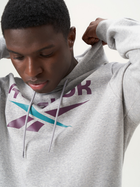 Худі утеплене чоловіче Reebok Identity Big Logo Fleece Hoodie 100206026 S Сіре (1200143879672) - зображення 3