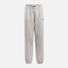 Спортивні штани чоловічі Reebok Ri Brand Proud Jogger 100208577 L Сірі (1200143738276) - зображення 6