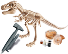 Zestaw doświadczalny Clementoni Galileo Discovery T-Rex & Fossil Modellier Set (8005125593118) - obraz 3