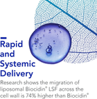 Очищение кишечника биоцидином премиум-класса Bio-Botanical Research Biocidin LSF 50 мл - изображение 4