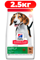 Сухий корм для цуценят середніх порід Hill's Science Plan Puppy Medium Breed з ягнятком та рисом