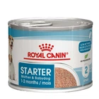Полнорационный влажный корм для собак всех размеров Royal Canin STARTER MOUSSE Cans