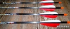 Стрелы для стрельбы из лука 31.5" Easton Aftermath 340 5 штук (44/920777) - изображение 2