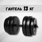 Гантель 13кг