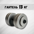 Гантель 13кг GREY