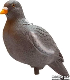 Подсадной голубь Hunting Birdland (374005) - изображение 1