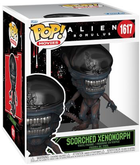 Figurka do gier Funko Pop Movies Aliens Romulus - Spalony Xenomorph 15.8 cm (0889698826594)