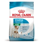 Сухой корм Royal Canin Mini Starter для собак мелких пород в период беременности и лактации