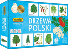 Gra planszowa Adamigo Memory - Drzewa Polski (5902410007882) - obraz 1