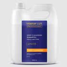 Шампунь для глибокої очистки волосся Master LUX professional 3000 мл