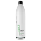 Відновлюючий шампунь для пошкодженого волосся ProfiStyle Repair Shampoo, 1000 мл
