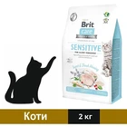 Сухий корм для кішок Brit Care Cat Grain Free Insect з харчовою нестерпністю з комахами та рибою