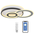 Smart светильник потолочный 96W Miorro Erba 520х430х80 мм