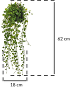 Sztuczny kwiat Atmosphera Peperomia w doniczce wiszący zielony (3560238334737) - obraz 6