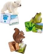 Набір фігурок Schleich Wild Life Flashcards 3 шт (4055744029813) - зображення 2